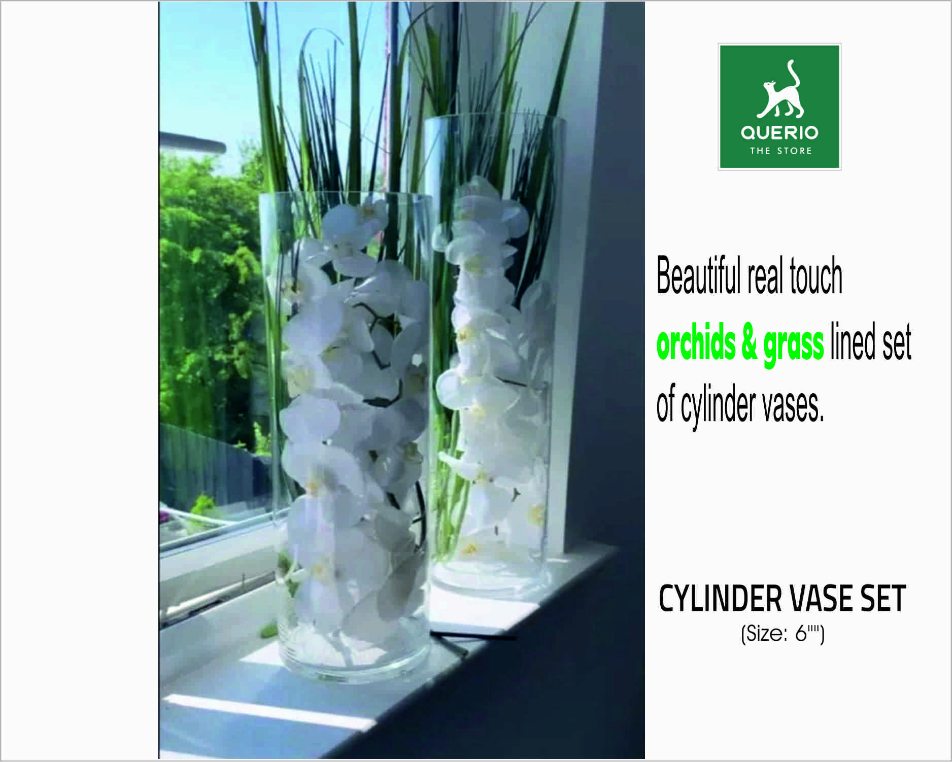 GLASS CYLINDER WASE & PLANT (1 Piece)