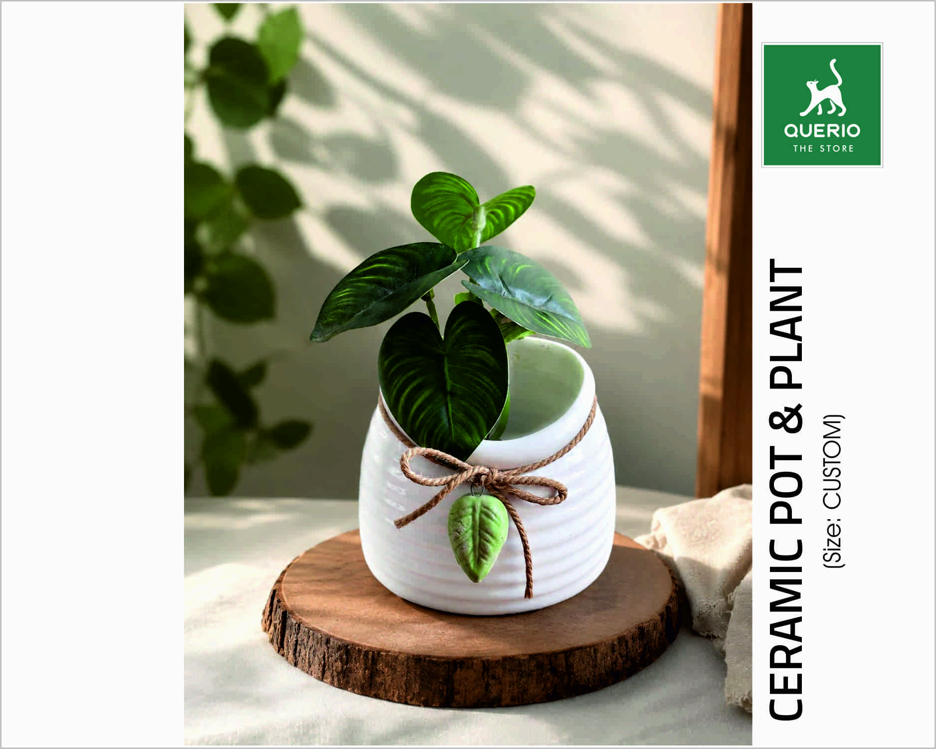 CERAMIC POT WITH PLANT