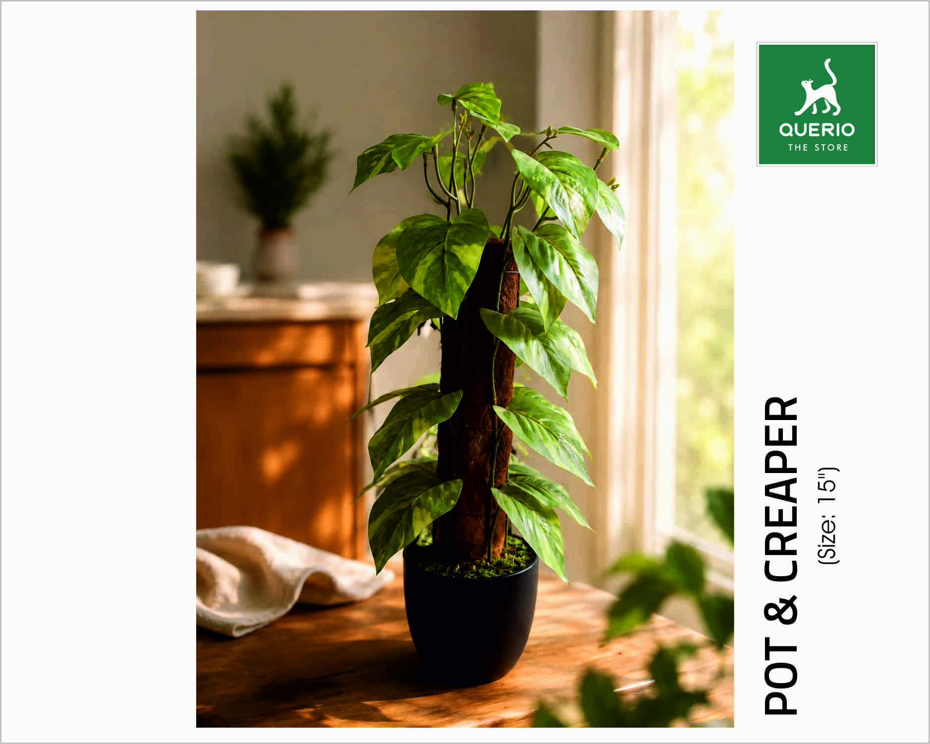 POT WITH CREAPER